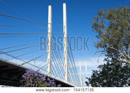 View Of The Eleanor Schonell Bridge