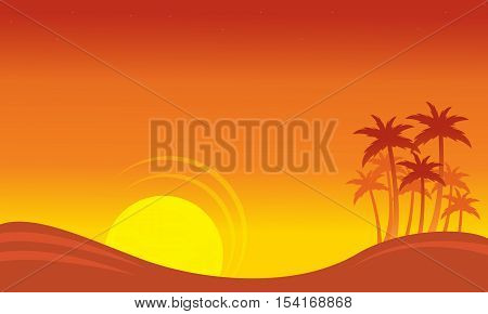 At sunset scenery on seaside with palm silhouettes vector