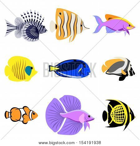 Tropical reef fish collection. It is easy to edit. Vector illustration.