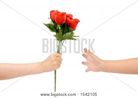 Overdragelsen rød Rose