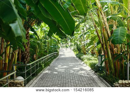 Walking Path Stretches Image & Photo (Free Trial) | Bigstock