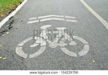 White painted bicycle lane with crack asphalt