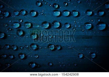 water drop on fresh blue leaf with blurred background. nature