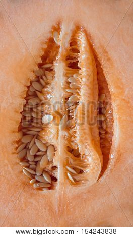 Open half of cantaloupe melon sitting on bright blue wooden table