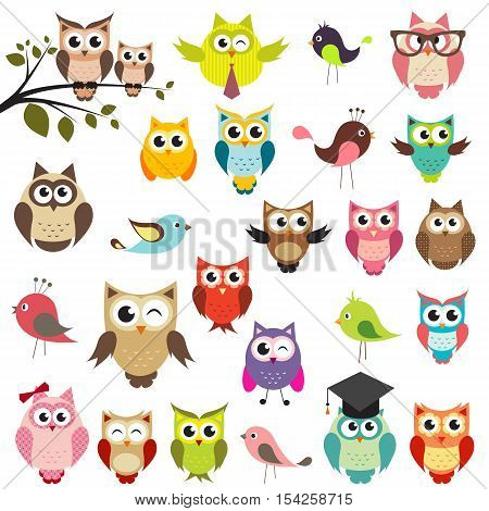 set of cute owls isolated on white