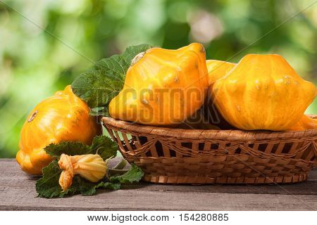 yellow pattypan squash with leaf in a wicker basket on a wooden table with a blurred background.