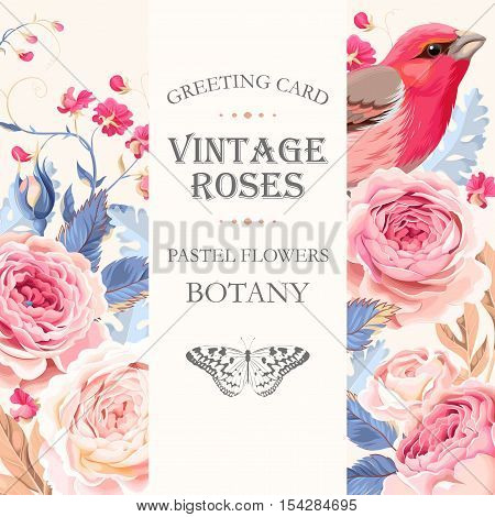 Vector greeting card with vintage roses and the bird