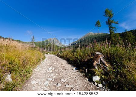 Beautiful Mlynicka dolina on the way to Bystre sedlo - in slovakian high Tatra mountains. Summer panorama with great weather and blue sky