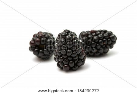 blackberries  fruit eating on a white background
