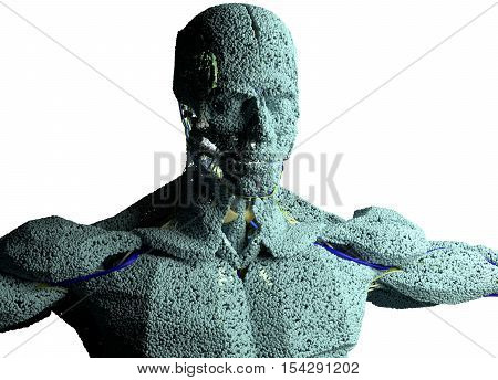 Human Anatomy Model Image & Photo (Free Trial) | Bigstock