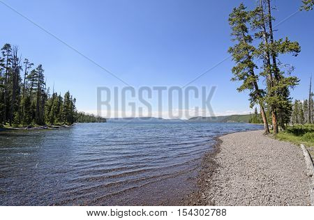 Shoshone Lake on a Sunny Day in Yellowstone National Park in Wyoming
