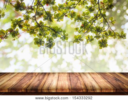 Empty of wood table with green leaves on abstract bokeh natrue background