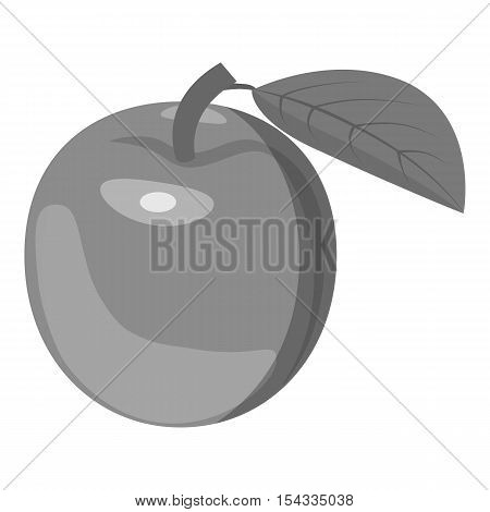 Apricot icon. Gray monochrome illustration of apricot vector icon for web