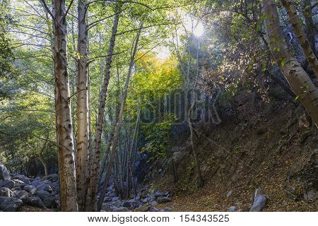 Beautiful Fall Color Of Switzer Falls Trail