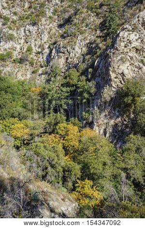 Beautiful Fall Color Of Switzer Falls Trail