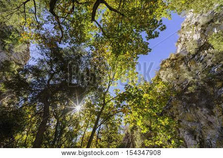 Beautiful Fall Color Of Switzer Falls Trail