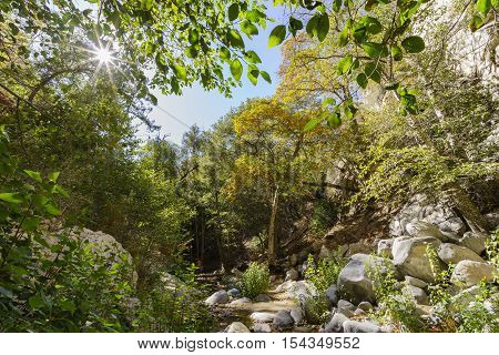 Beautiful Fall Color Of Switzer Falls Trail