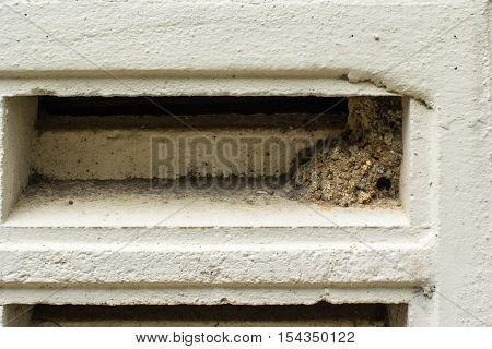 the resting place of wasp in the building