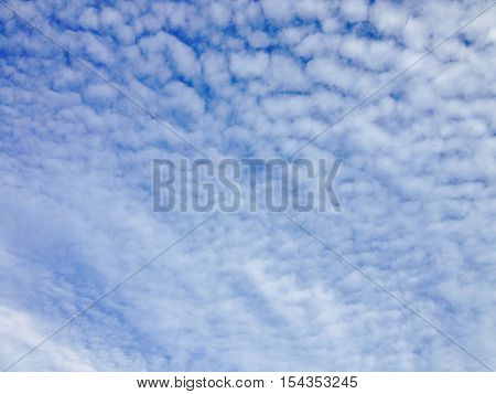 Fluffy cloud and blue sky in daytime