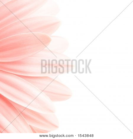 Petali rosa HIV