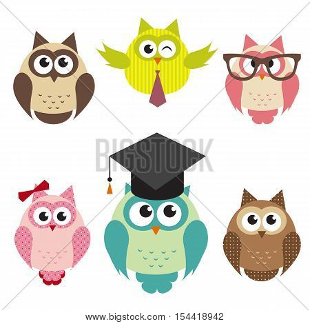 set of cute owls isolated on white background