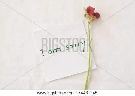 i am sorry feeling message card and red little flower