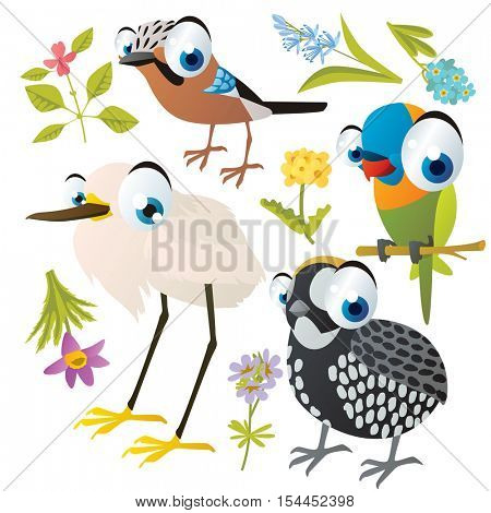 vector cute colorful cartoon isolated birds and flowers illustrations collection: jay, parrot, heron, montezuma quail