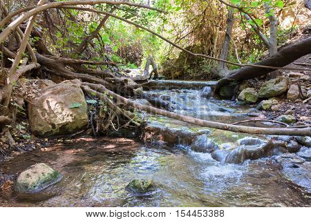 Small waterfall in a forest stream Amud in the north of Israel