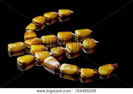Corn kernels forming Euro symbol. Corn market. Corn kernels. Selective focus and shallow Depth of field