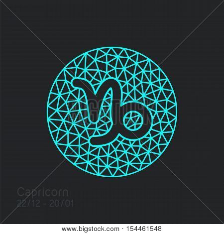 Capricorn Zodiac Sign