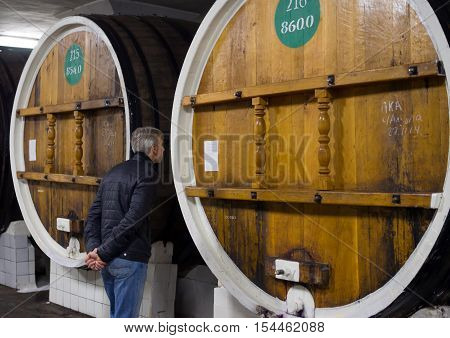 Massandra, Russia - November 09, 2015: A man stands at the wine barrels in the shop shutter speed and processing winery Massandra Crimea