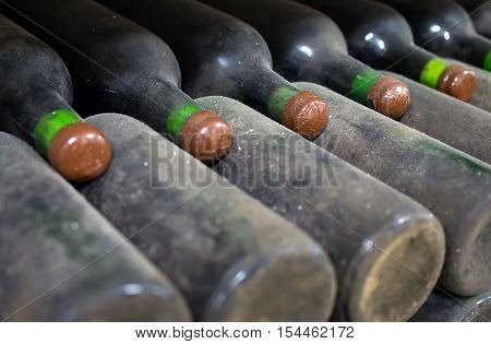 Some with old bottles of wine with ripe