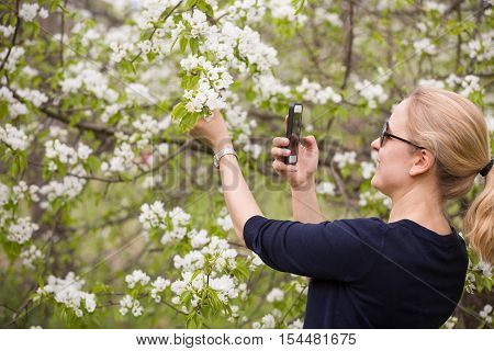 Portrait of a young smiling woman taking picture of an apple trees' flowers by her smartphone. Girl and blooming apple tree. Spring time with trees flowers. photo on phone. Outdoors.