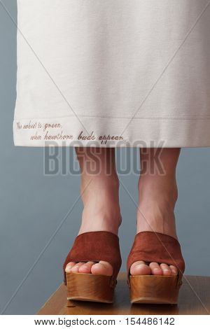 Closeup Of Elegant Young Women's Feet