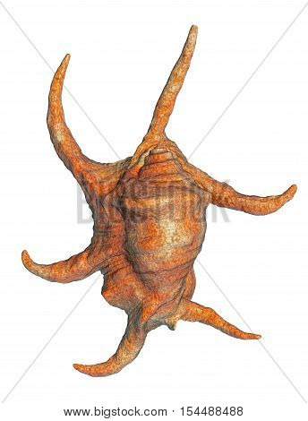 Harpago Chiragra