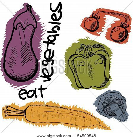 food vector illustration includes vegetables for your design