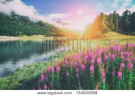 Amazing sunny day at Champferersee lake in the Swiss Alps. Silvaplana village, Switzerland, Europe. Toned like Instagram filter