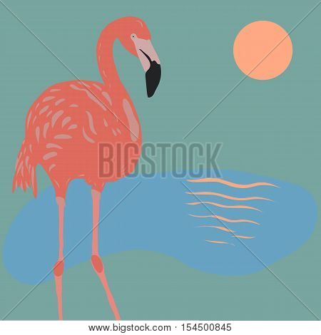 beautiful flamingo on sunset background. vector illustation for your design, poster, postcard or placard.
