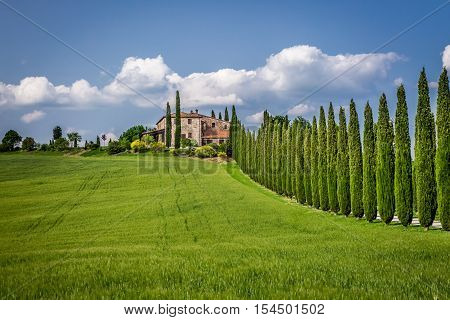 Road To Agritourism In Tuscany Between Cypresses