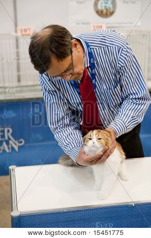 Juiz Kenny Currle examina um gato