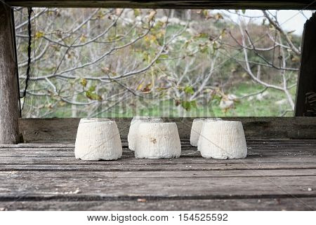 ricotta salata is salted variety of ricotta whey cheese; in the photo it is placed in outdoor to dry in a specific cage that protects it from the insects,  Nebrodi Park - Sicily 