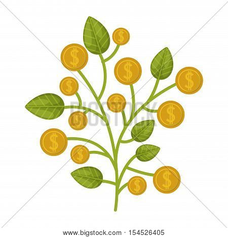 money plant with gold coins over white background. vector illustration