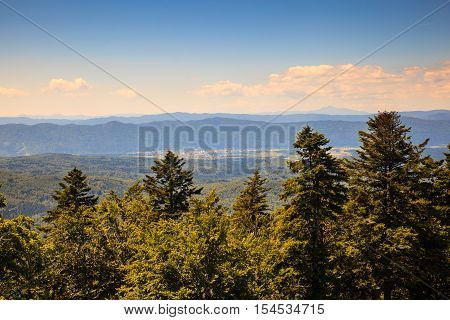 Topview from Kočevski Rog called also Kočevje Rog Slovenia