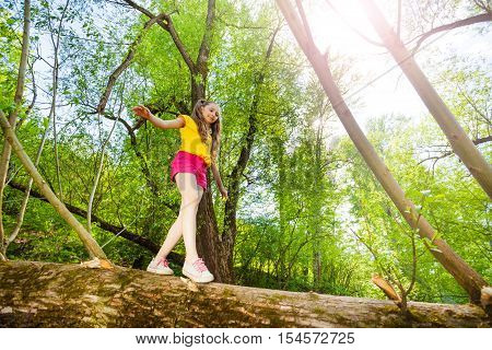 Bottom view portrait of little girl walking and balancing on trunk of fallen tree in the forest