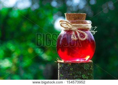 Magic Elixir in the green forest. Love potion. Copy space
