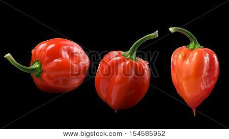 Orange Habaneros, Clipping Paths