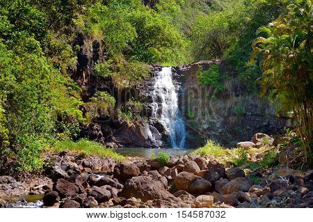 Beautiful Waterfall In Waimea Valley On Oahu