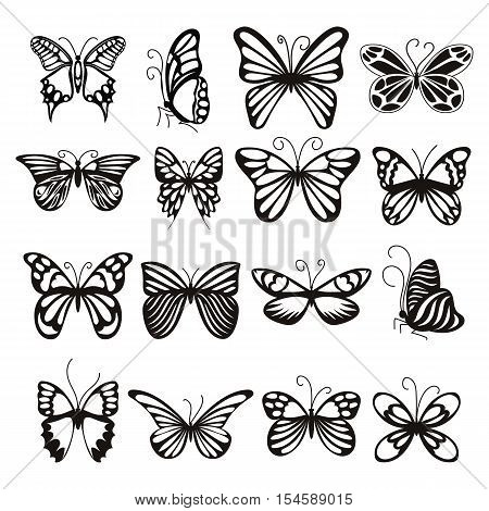 Butterfly icons set. Simple illustration of 16 butterfly vector icons for web