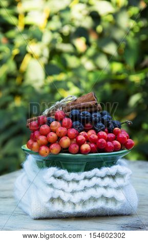 Knitted socks sherstanye pile and cup with autumn berries. Kalin and rowan. Cinnamon sticks. Autumn concept. Red and blue berries.