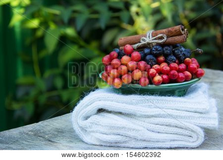 Knitted wool socks and autumn healthy berry. Kalina(viburnum) and chokeberry(aronia). Cinnamon sticks. Red and blue berries. Autumn concept. Green natural background.